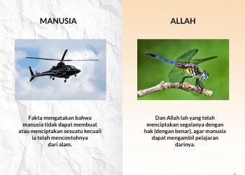 MANUSIA – ALLAH