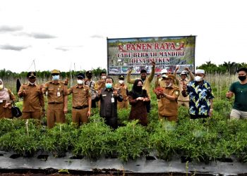 Bagus Santoso Himbau ASN Beli Cabe Petani Lokal