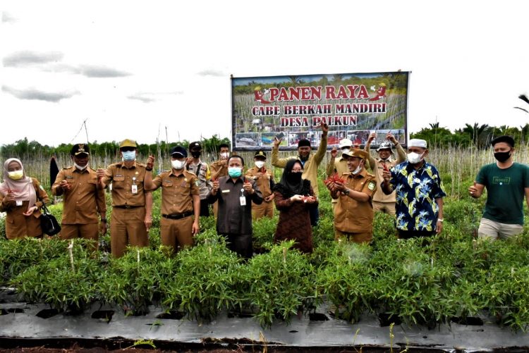 Bagus Santoso Himbau ASN Beli Cabe Petani Lokal