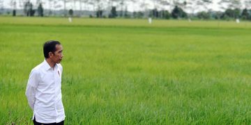 Rokan Hilir Diusulkan untuk Lokasi Food Estate di Provinsi Riau, Ini Pertimbangannya
