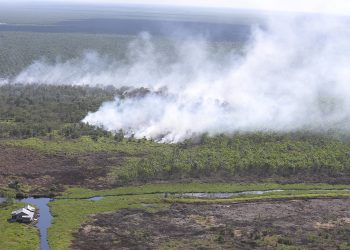 BMKG Catat Kenaikan Hotspot di Sumatera, Riau Salah Satu Penyumbang