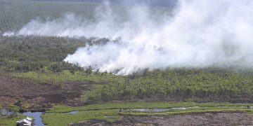 BMKG Catat Kenaikan Hotspot di Sumatera, Riau Salah Satu Penyumbang
