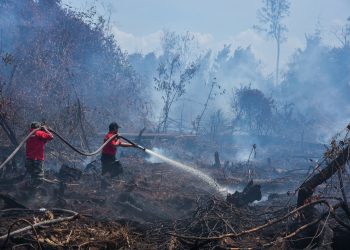 28 Hotspot Terdeteksi di Riau, Siak Terbanyak