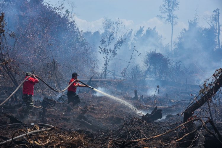 28 Hotspot Terdeteksi di Riau, Siak Terbanyak