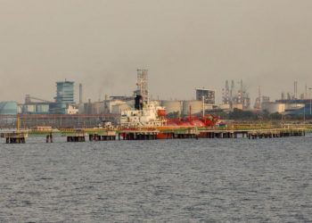 Harga CPO Kembali Anjlok, Buat Harga Sawit Riau Turun Lagi Pekan Ini