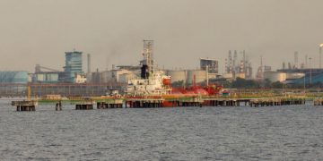 Harga CPO Kembali Anjlok, Buat Harga Sawit Riau Turun Lagi Pekan Ini