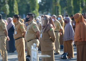 Pengumuman Pendaftaran CPNS dan PPPK Pemprov Riau Resmi Dibuka