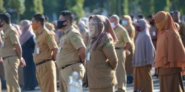 Pengumuman Pendaftaran CPNS dan PPPK Pemprov Riau Resmi Dibuka