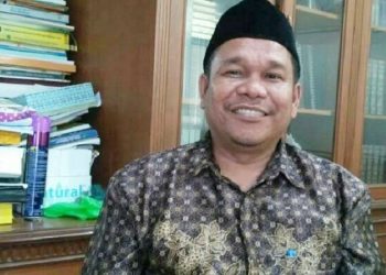 Saiman Pakpahan Sebut Ada Motif Politik di Balik Aksi Demo Gubri Syamsuar