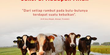 Yang Menjadi Saksi di Hadapan Allah Subhanahu Wa Ta’ala