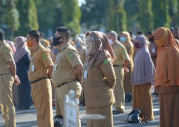 Riau Dapat 455 Formasi Untuk CPNS dan PPPK Tahun 2021