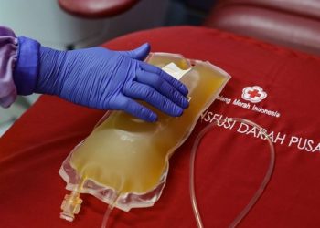 Marak Penipuan Modus Tawarkan Plasma Konvalesen, Ini Saran PMI