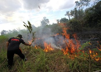 Ditengah Pandemi Covid-19, Riau Tetap Fokus Tangani Karhutla