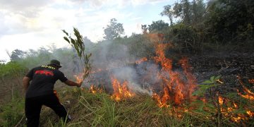 Ditengah Pandemi Covid-19, Riau Tetap Fokus Tangani Karhutla