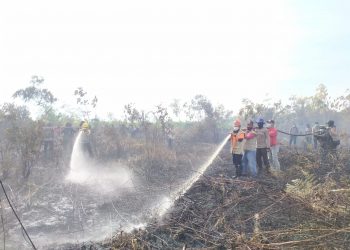 Titik Api Bermunculan, Satgas Karhutla Riau Padamkan Kebakaran di 4 Daerah