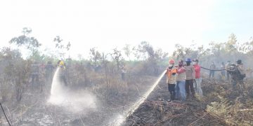Titik Api Bermunculan, Satgas Karhutla Riau Padamkan Kebakaran di 4 Daerah