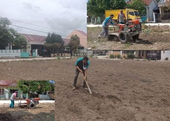 Tingkatkan Ekonomi Kreatif Dimasa Pandemi, Karang Taruna Ceria Bercocok Tanam