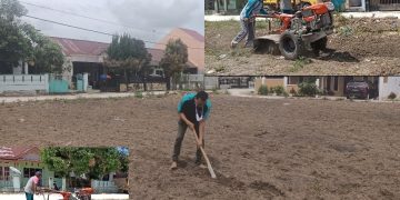 Tingkatkan Ekonomi Kreatif Dimasa Pandemi, Karang Taruna Ceria Bercocok Tanam