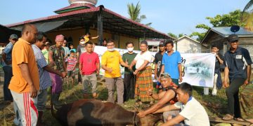 LAZISMU Pekanbaru Laksanakan Kurban 5 Titik