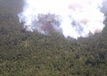 Hotspot Mulai Terdeteksi Lagi di Riau, Tersebar di 4 Wilayah
