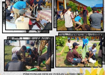 LAZISMU Indragiri Hulu Potong Hewan Qurban 3 Titik