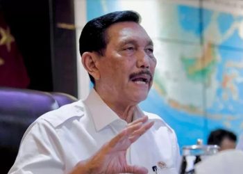 Isyaratkan PPKM Darurat Tidak Diperpanjang karena Hambat Pemulihan Ekonomi, Luhut: Kelamaan Malah Membuat Mati