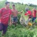 Petani di Dumai Tewas Mengenaskan Diterkam Harimau Sumatera