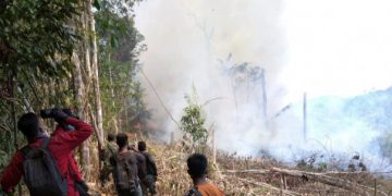 Ada Aktivitas Buka Lahan, Taman Nasional Bukit Tigapuluh Riau Terbakar