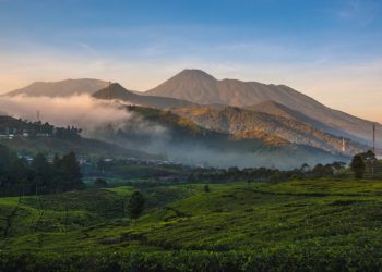 Pendakian Gunung Gede Pangrango Ditutup Selama PPKM Darurat
