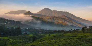 Pendakian Gunung Gede Pangrango Ditutup Selama PPKM Darurat