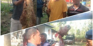 Qurban Para Rider Kuda Horse Power Tambusai dan Wisata Dakwah Okura