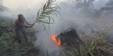 Foto: Kebakaran lahan gambut di Dumai pada Februari 2021 (ANTARA FOTO /Aswaddy Hamid).