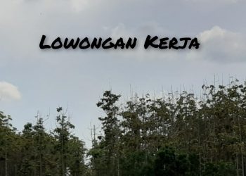 Lowongan Kerja BUMN Terbaru, Simak Posisi dan Syaratnya