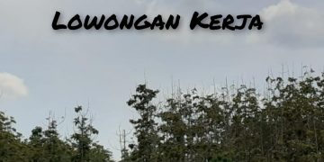 Lowongan Kerja BUMN Terbaru, Simak Posisi dan Syaratnya