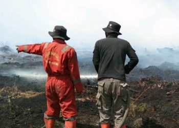 Pantang Pulang Sebelum Padam! Tim Satgas Karhutla Riau Berjibaku Blokade Api