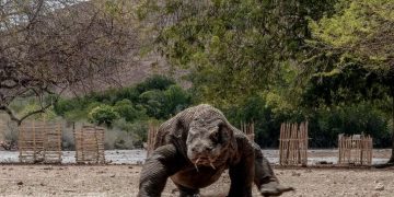 Menparekraf Pastikan Penataan Fasilitas di TN Komodo Perhatikan Keberlanjutan Lingkungan