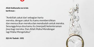 Sucikan Harta dengan ZAKAT