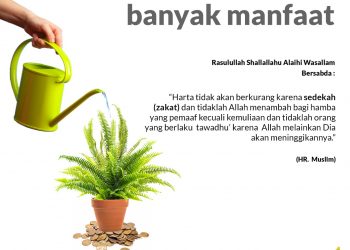 Sedikit Tapi Memiliki Banyak Manfaat