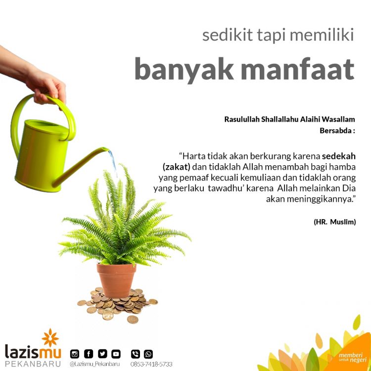 Sedikit Tapi Memiliki Banyak Manfaat