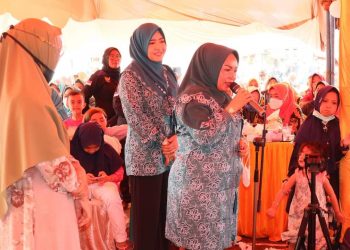 Ny Sanimar Afrizal Ajak Jajaran Pengurus PKK Rohil Gencarkan Pencegahan Stunting