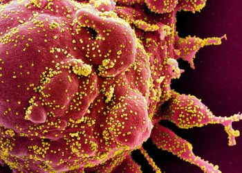 Epidemiolog Ramal Penurunan Level Pandemi COVID-19 ke Endemi Akan Lama