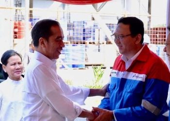 Ahok Bicara Rencana Pertamina Usai Ambil Blok Rokan dari Chevron