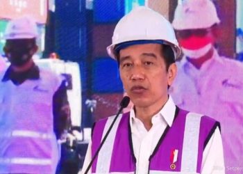 Ekspor Pertanian, Jokowi: Jangan Sampai Stok Beras Kita Kurang