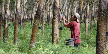 Pandemi Covid-19, Syamsuar Sebut Perkebunan dan Pertanian Riau Tetap Baik