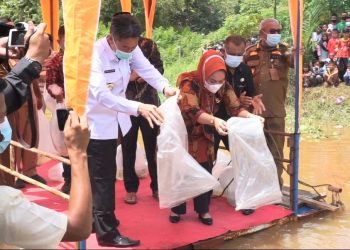 Jaga Kelestarian Ikan, Pemkab Rohil Tabur Ribuan Benih Anak Baun di Sungai Rokan