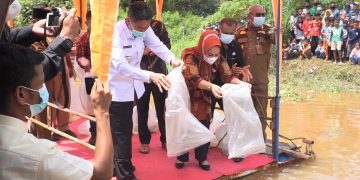 Jaga Kelestarian Ikan, Pemkab Rohil Tabur Ribuan Benih Anak Baun di Sungai Rokan