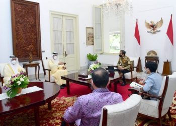 Jokowi Harap UAE Jadi Mitra Utama Investasi Indonesia