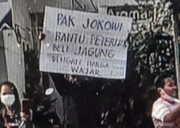 Peternak Bentangkan Poster di Blitar Diundang Bertemu Jokowi di Istana Hari ini