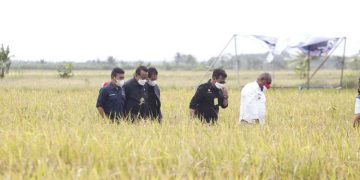 Mentan Kunker ke Papua, Staf Khusus Presiden: Bukti Negara Bangun Pertanian Merata