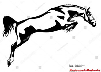About Horse : Busur Lingkaran Alami tubuh Kuda